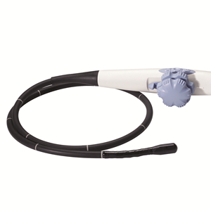 Ultrasound Probe/Transducer 6T or Adult TEE